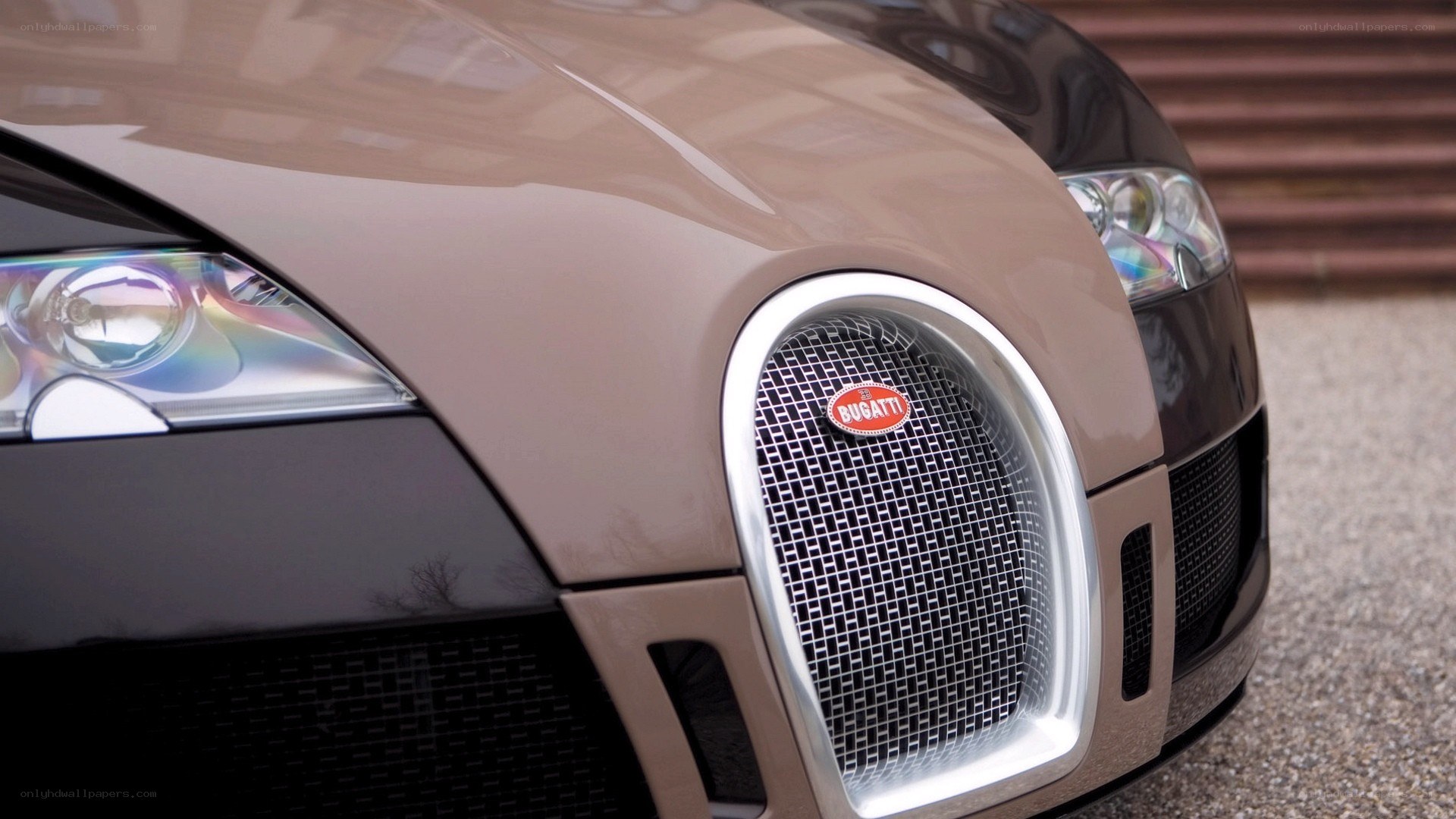 Bugatti Veyron front grille