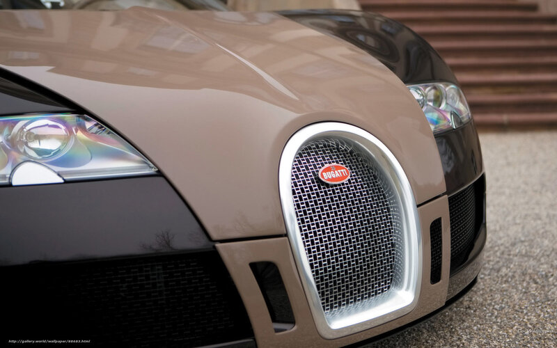 Bugatti Veyron front grille