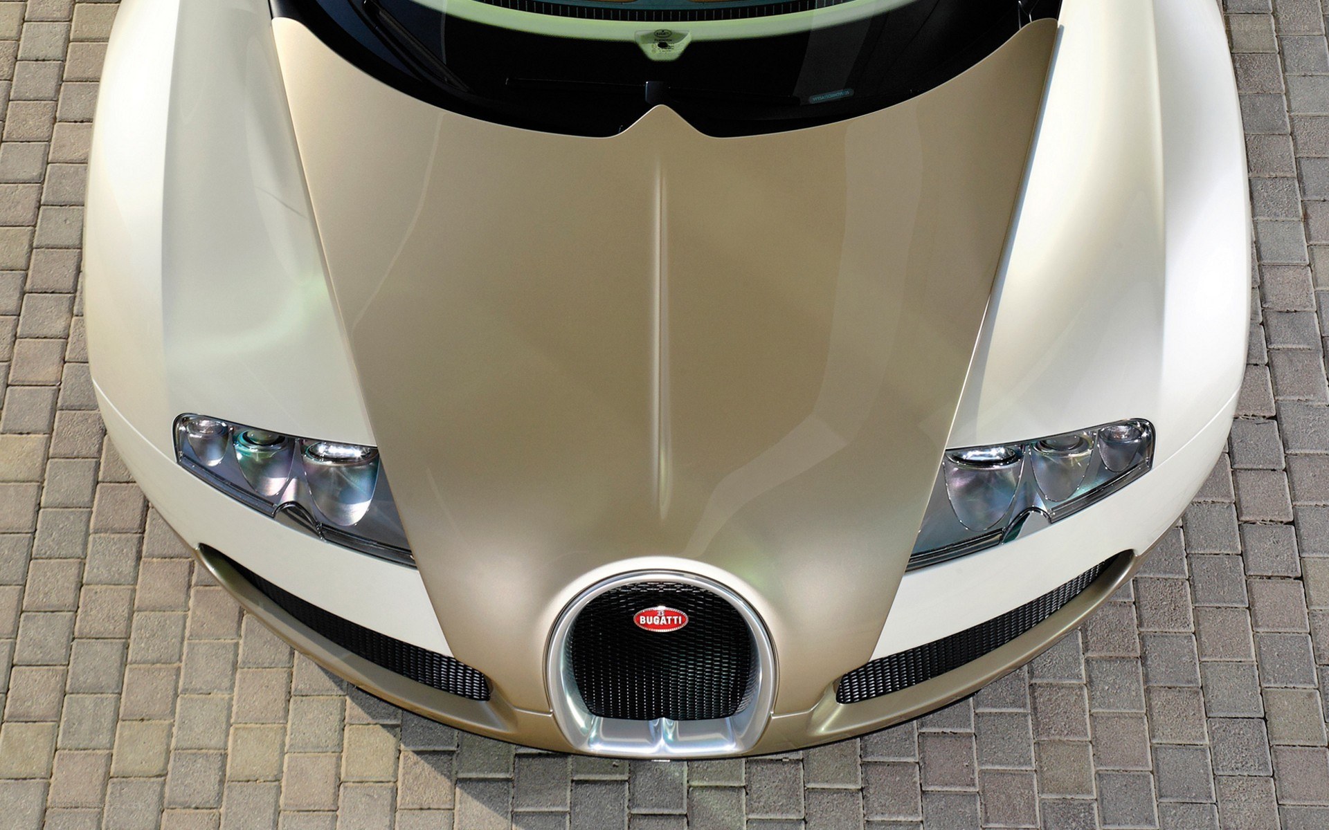 Bugatti Veyron front view