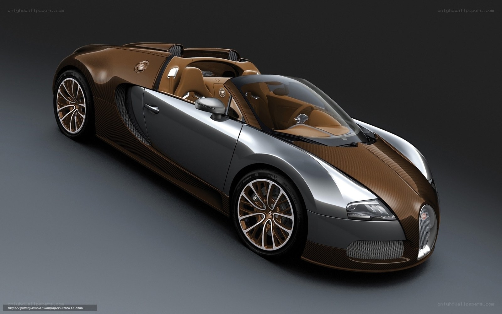 Bugatti Veyron Grand Sport