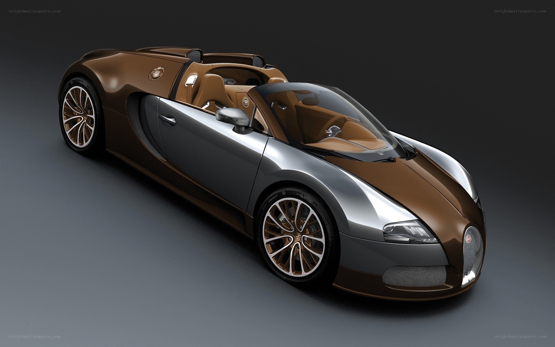 Bugatti Veyron Grand Sport