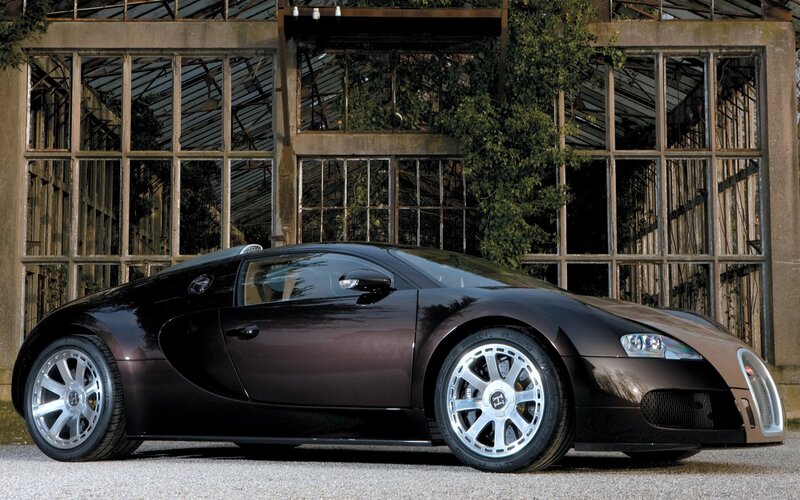 Bugatti Veyron in front of greenhouse