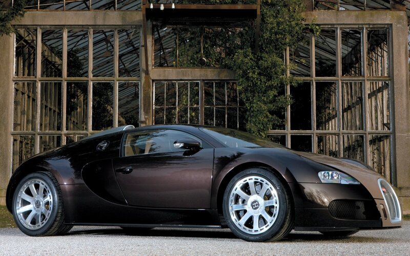 Bugatti Veyron in front of greenhouse