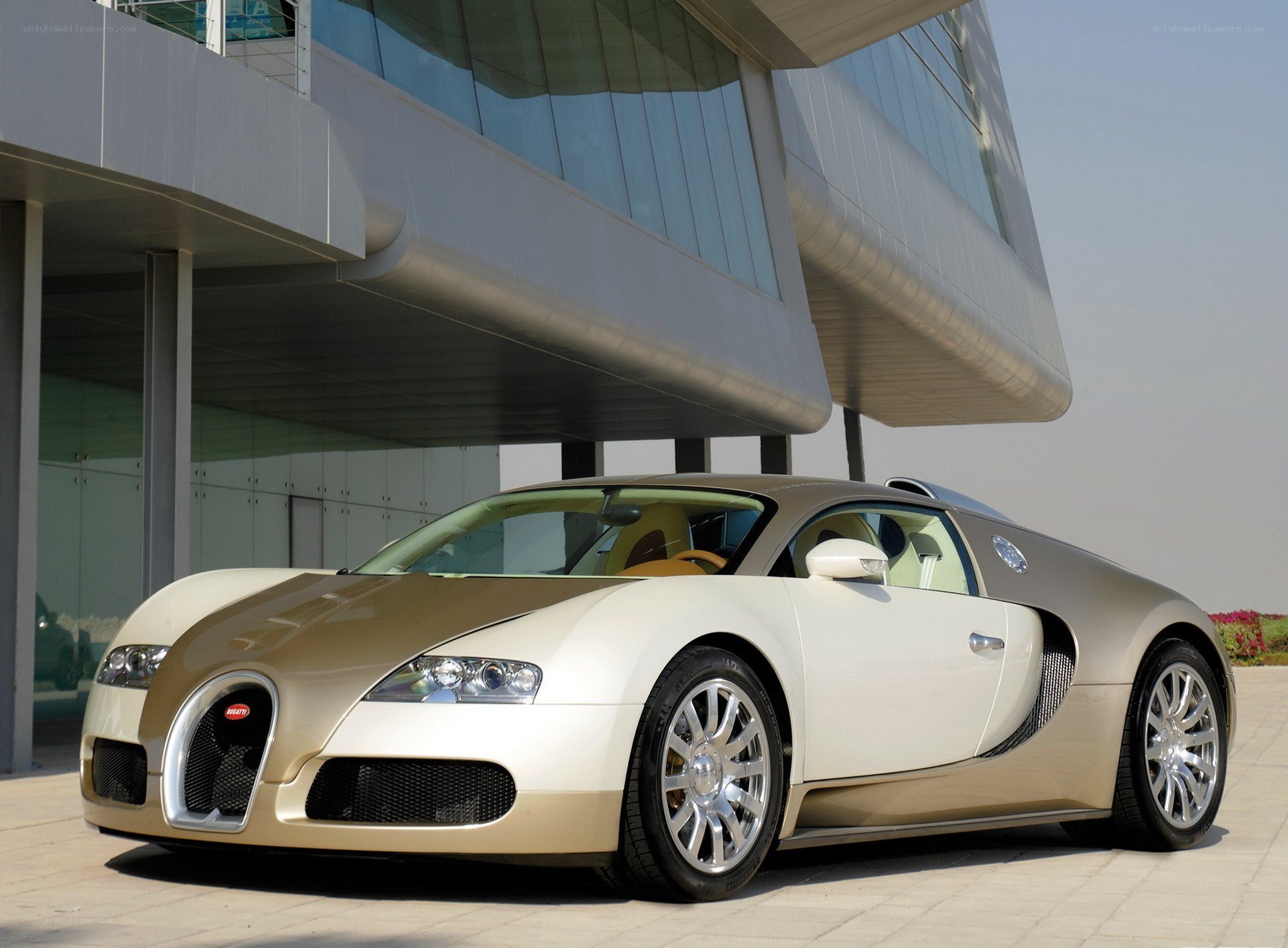 Bugatti Veyron in gold and white
