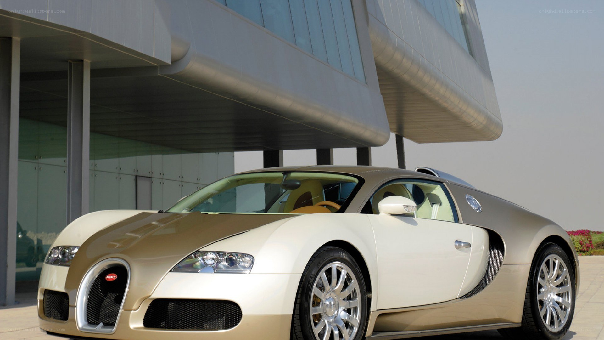 Bugatti Veyron in gold and white