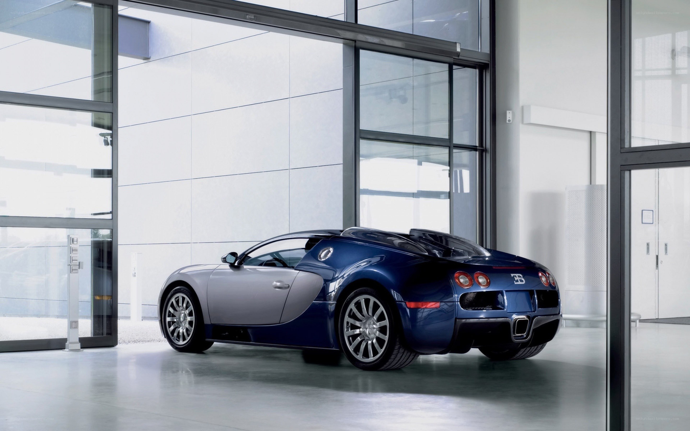 Bugatti Veyron in showroom