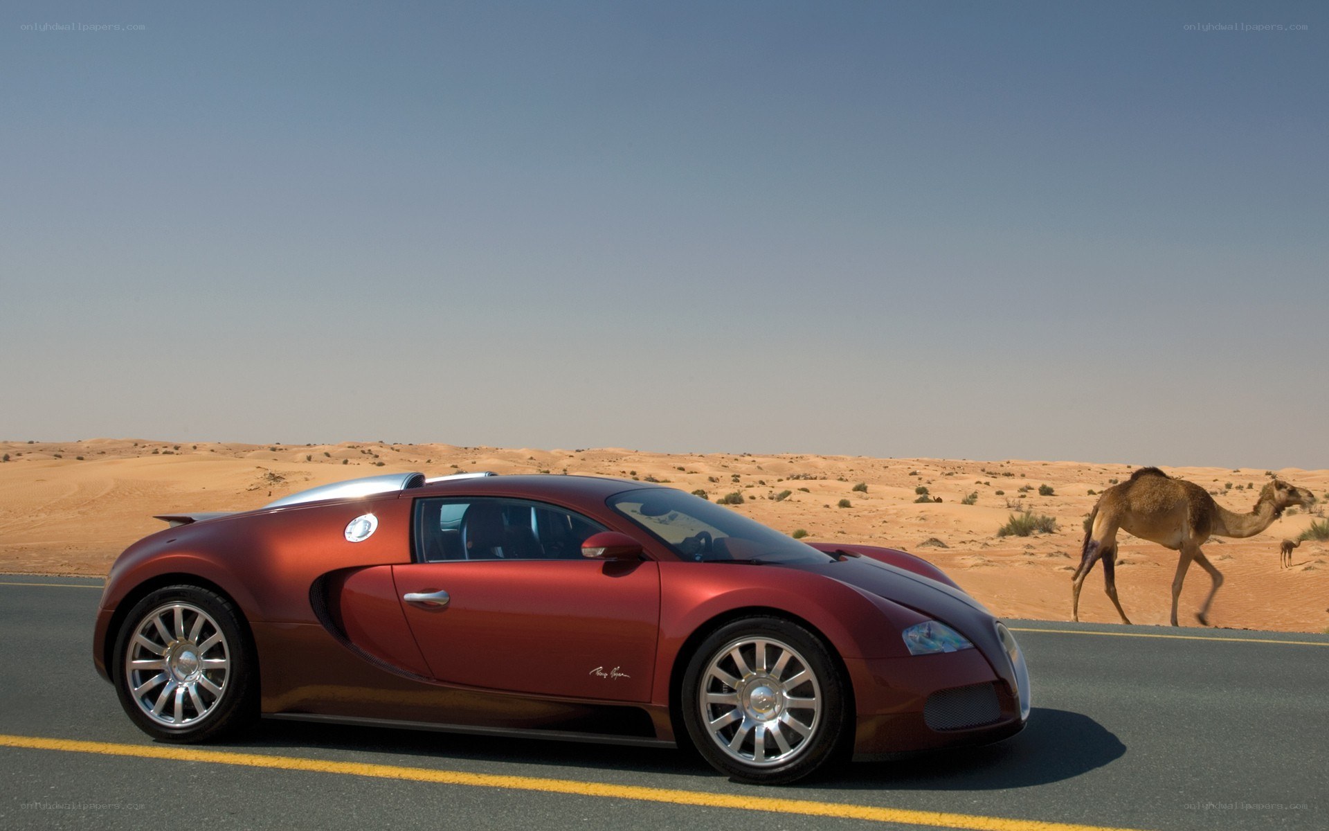 Bugatti Veyron in the desert