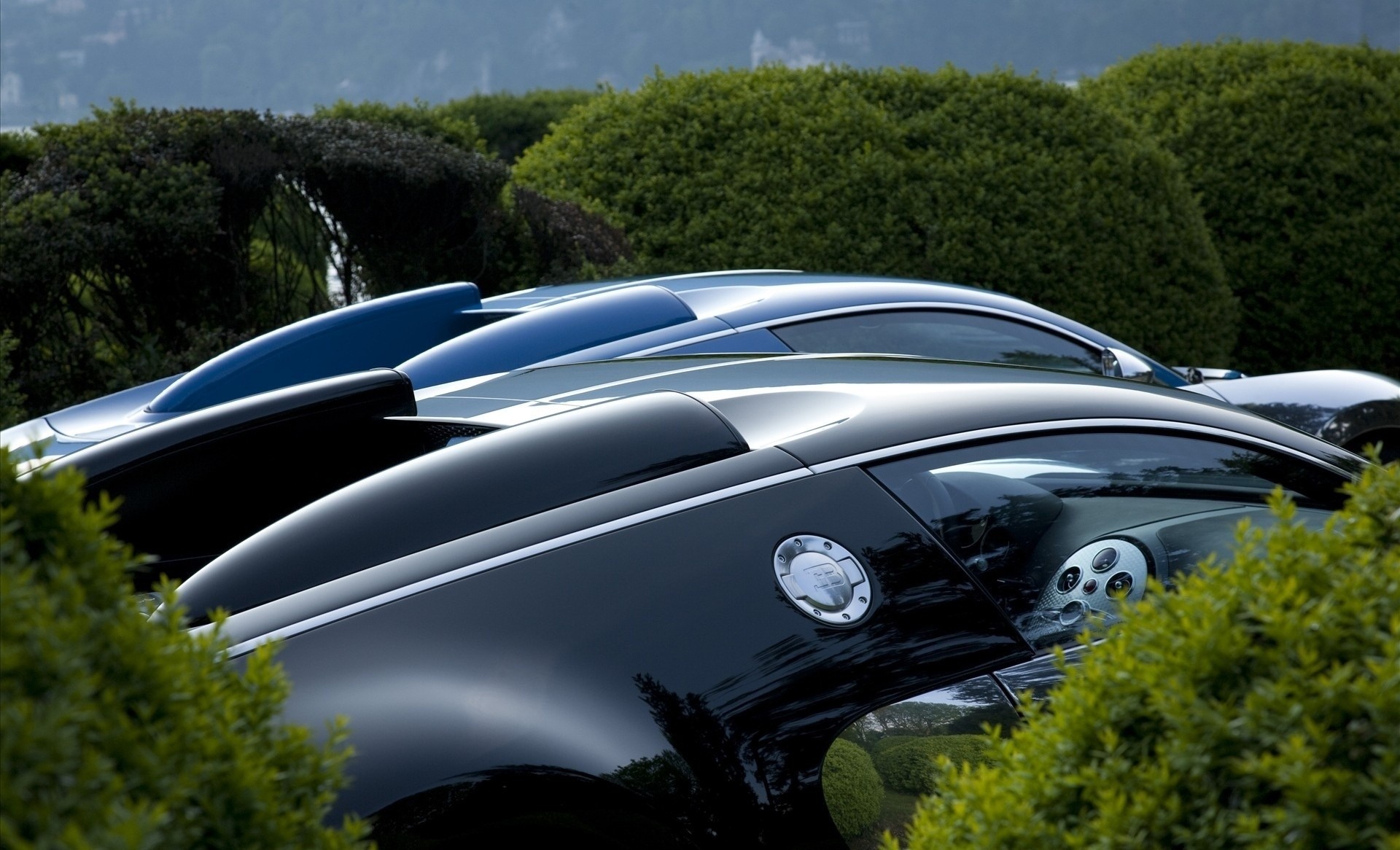 Bugatti Veyron lineup