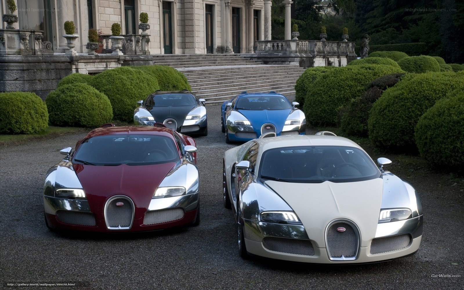 Bugatti Veyron lineup