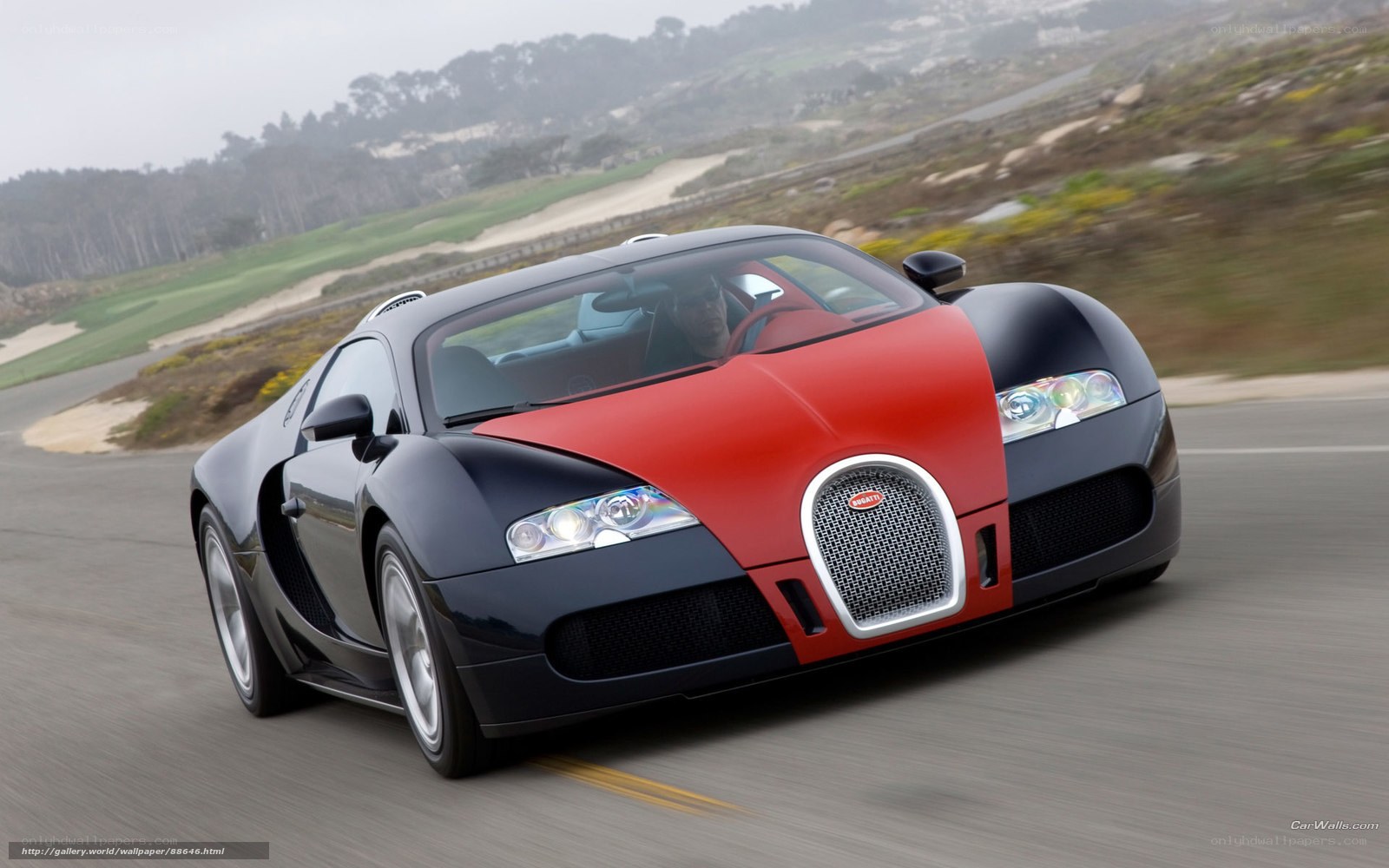 Bugatti Veyron on a coastal road
