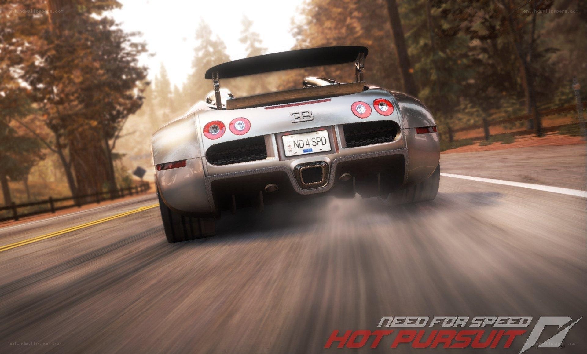Bugatti Veyron on a forest road