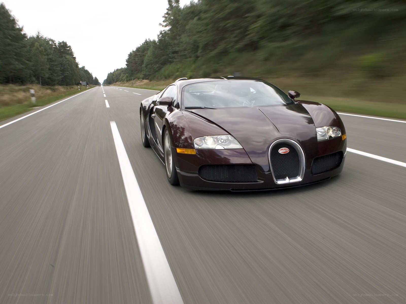 Bugatti Veyron on a forest road