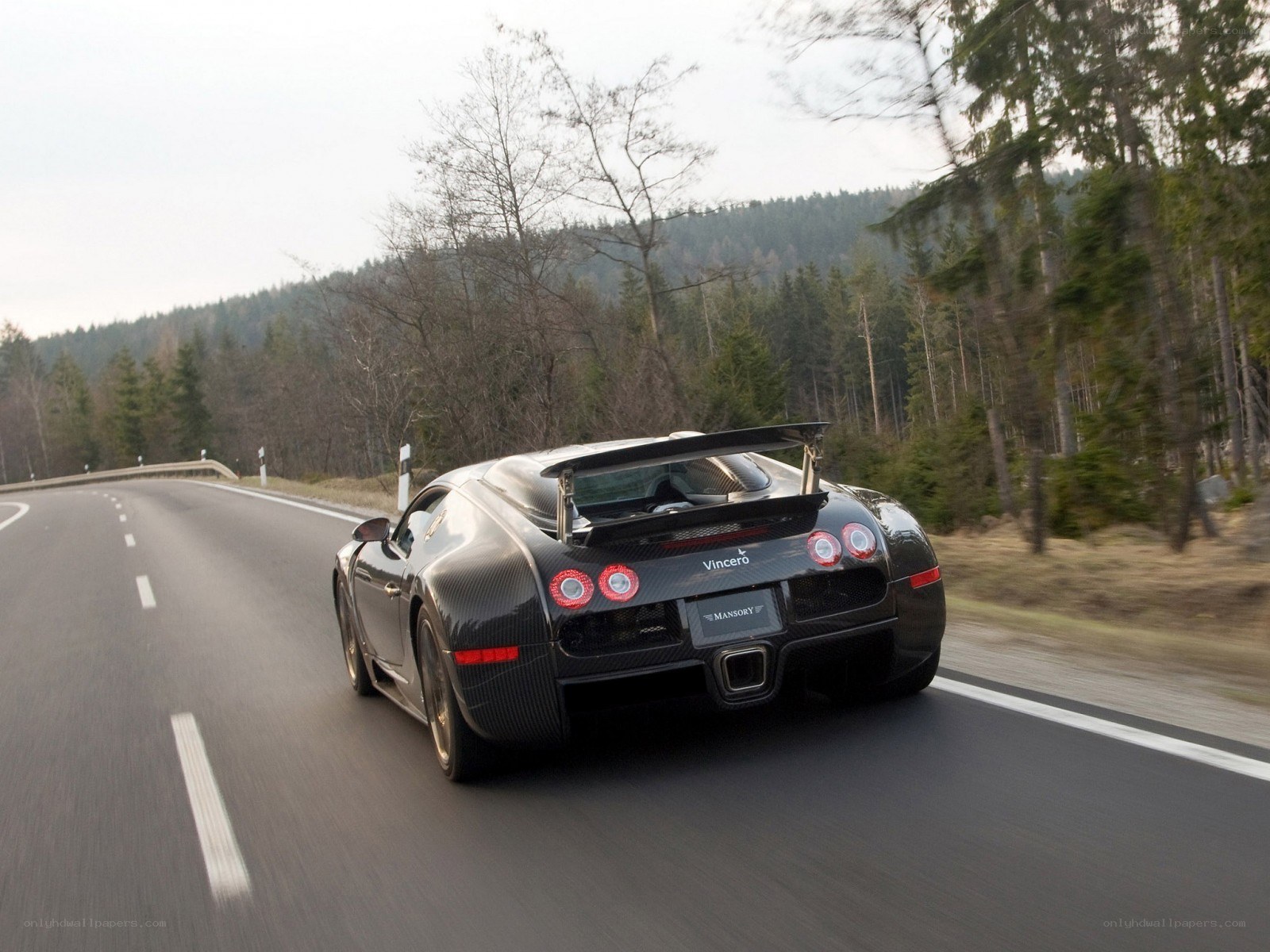 Bugatti Veyron on a forest road