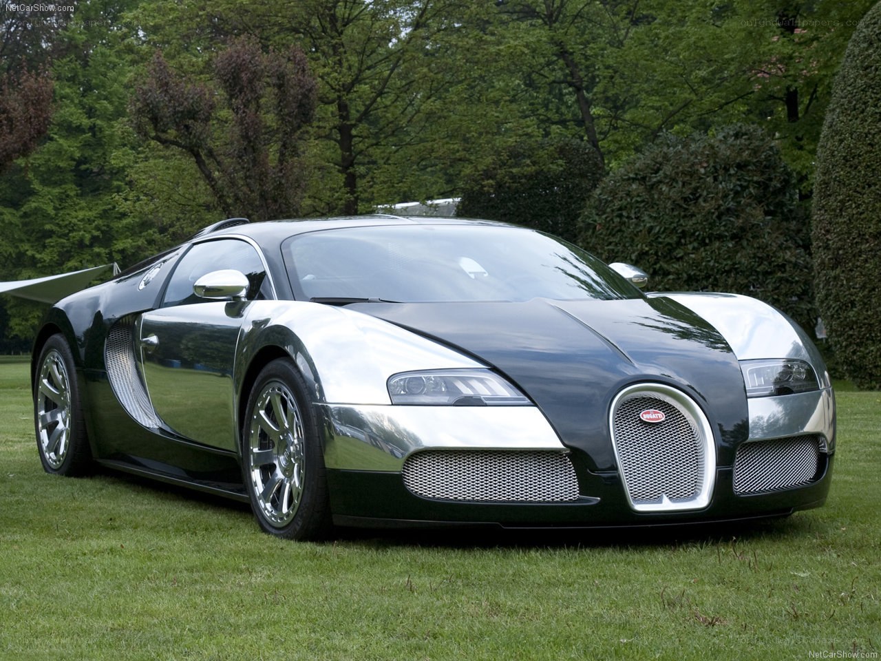 Bugatti Veyron on a lawn