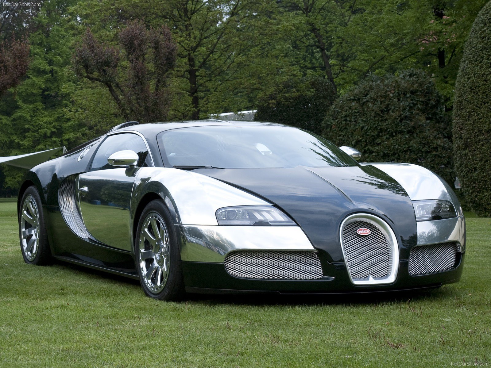 Bugatti Veyron on a lawn