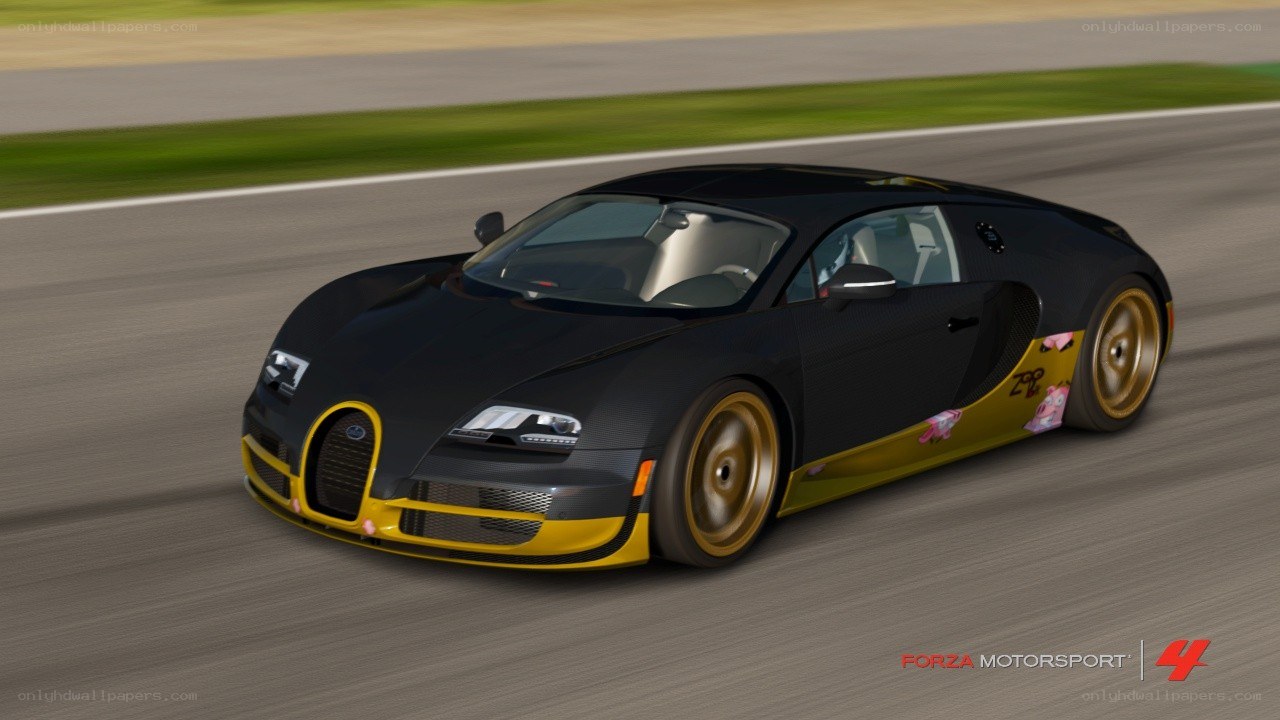 Bugatti Veyron on a racetrack