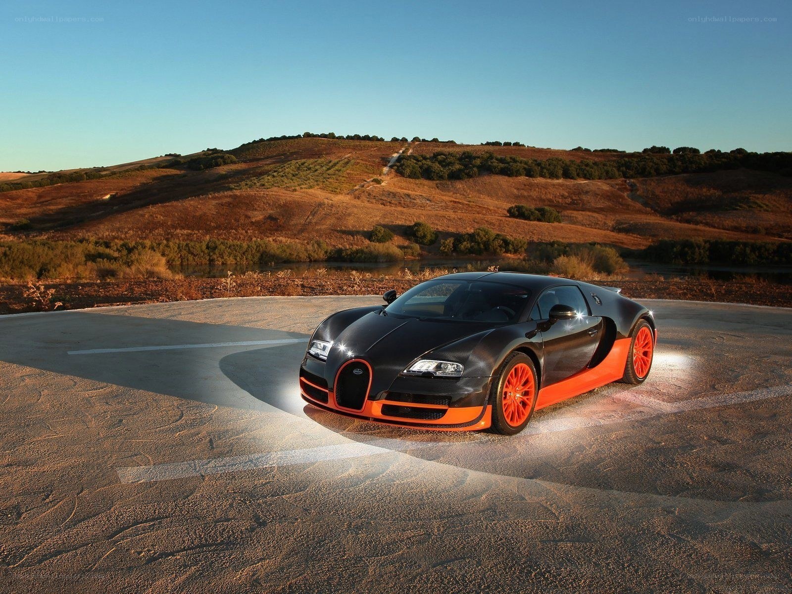 Bugatti Veyron on a road