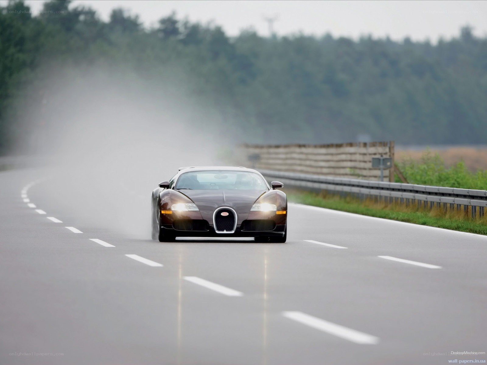 Bugatti Veyron on a road