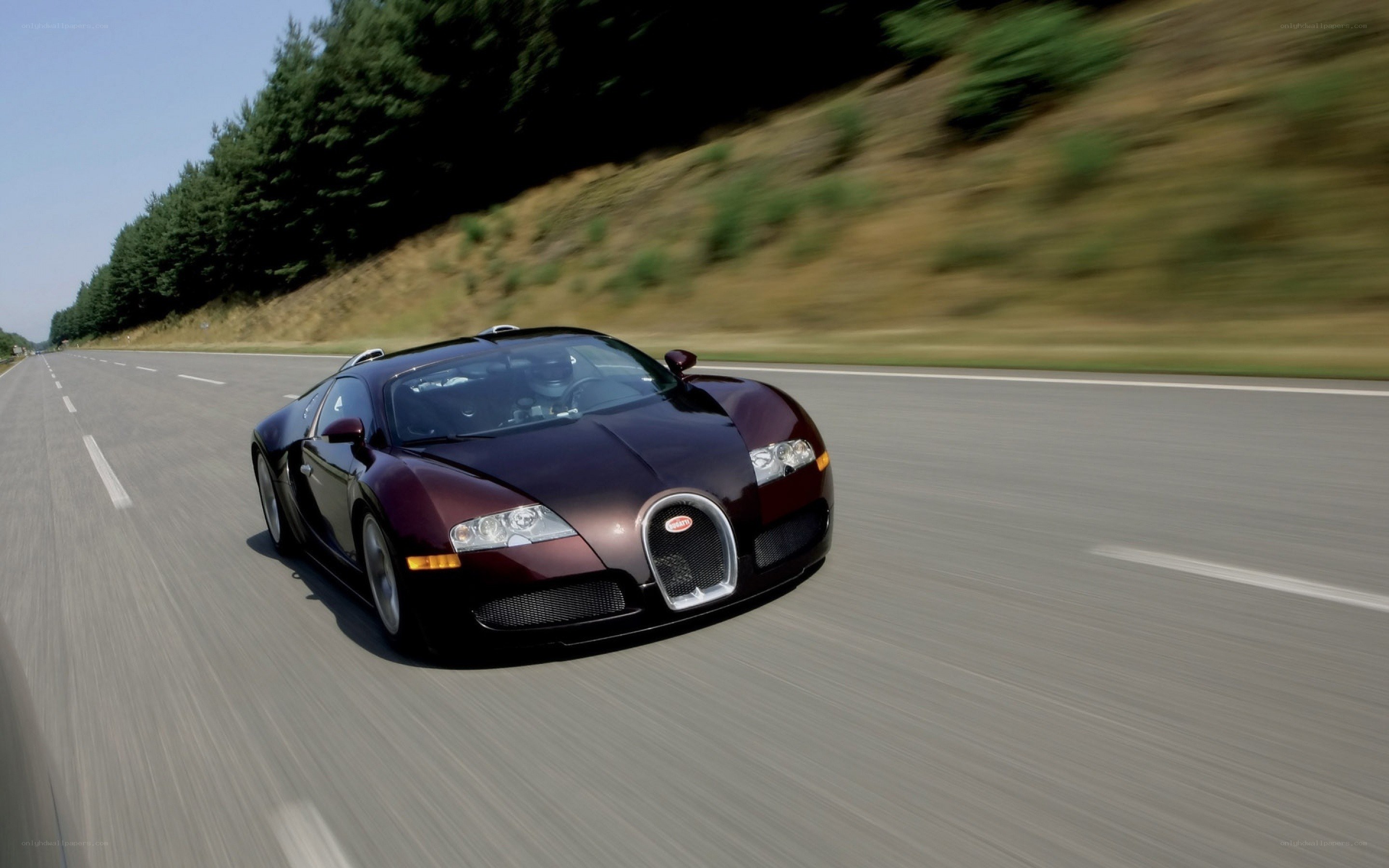 Bugatti Veyron on a road