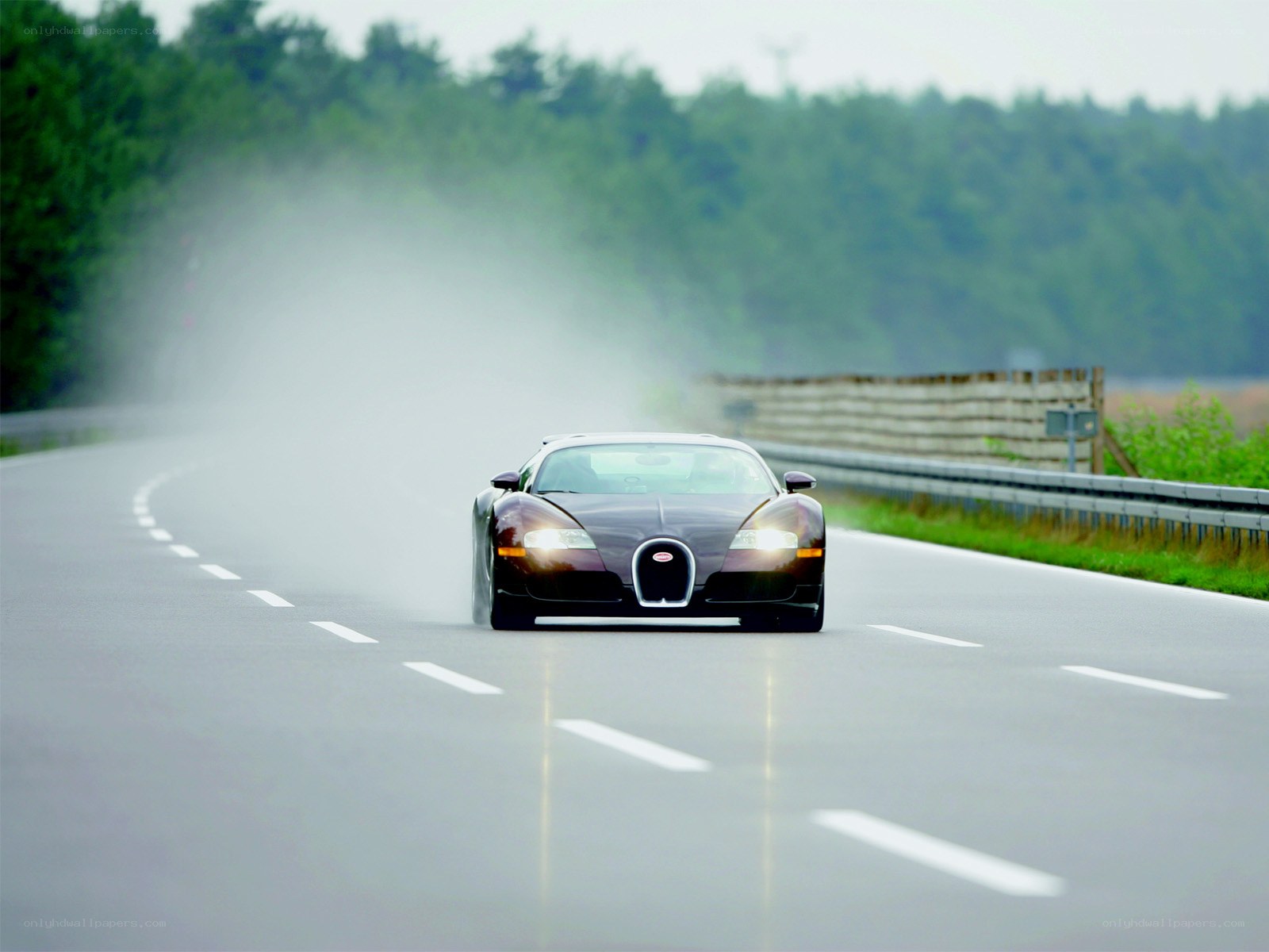 Bugatti Veyron on a wet road