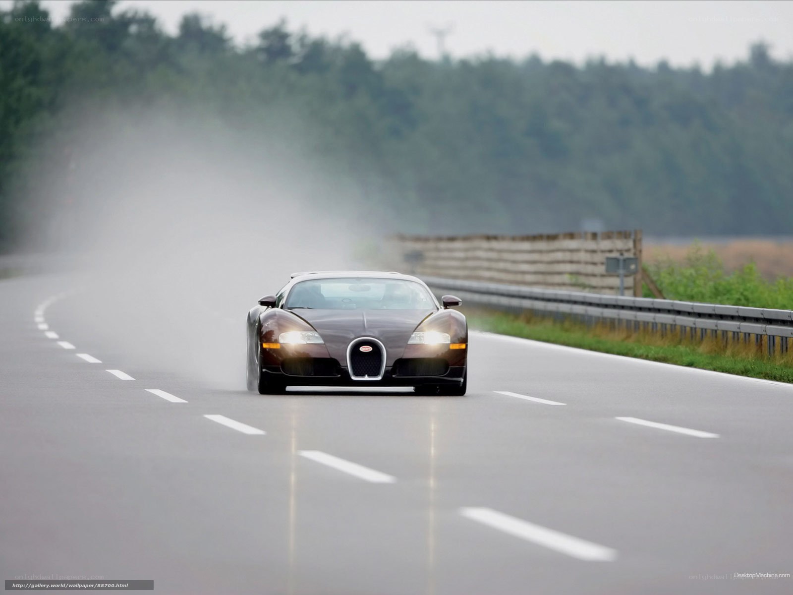 Bugatti Veyron on a wet road