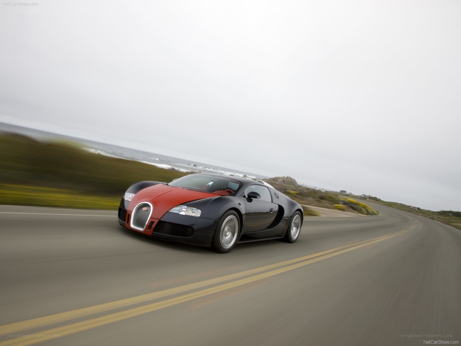 Bugatti Veyron on coastal road
