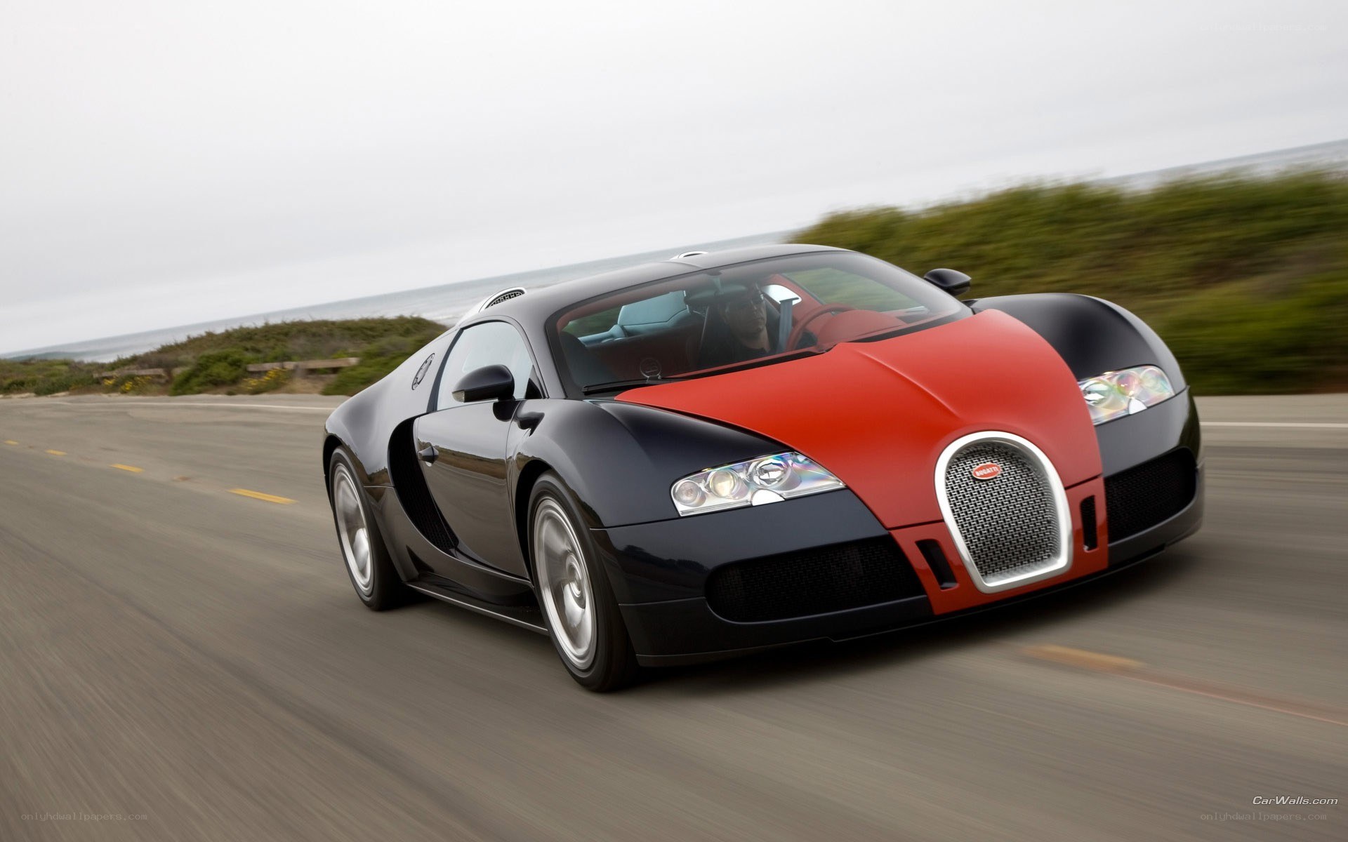 Bugatti Veyron on coastal road