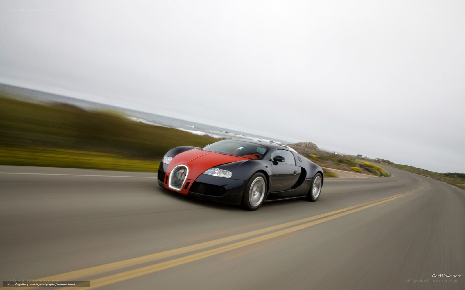 Bugatti Veyron on coastal road