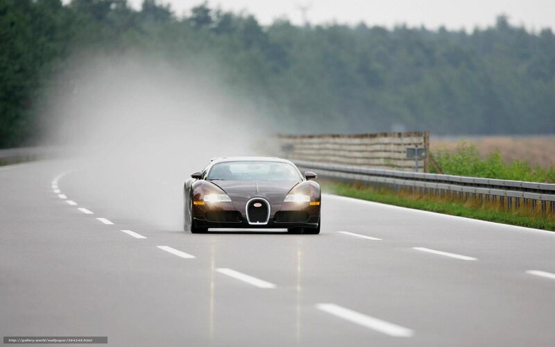 Bugatti Veyron on Road — Gray, Dynamic