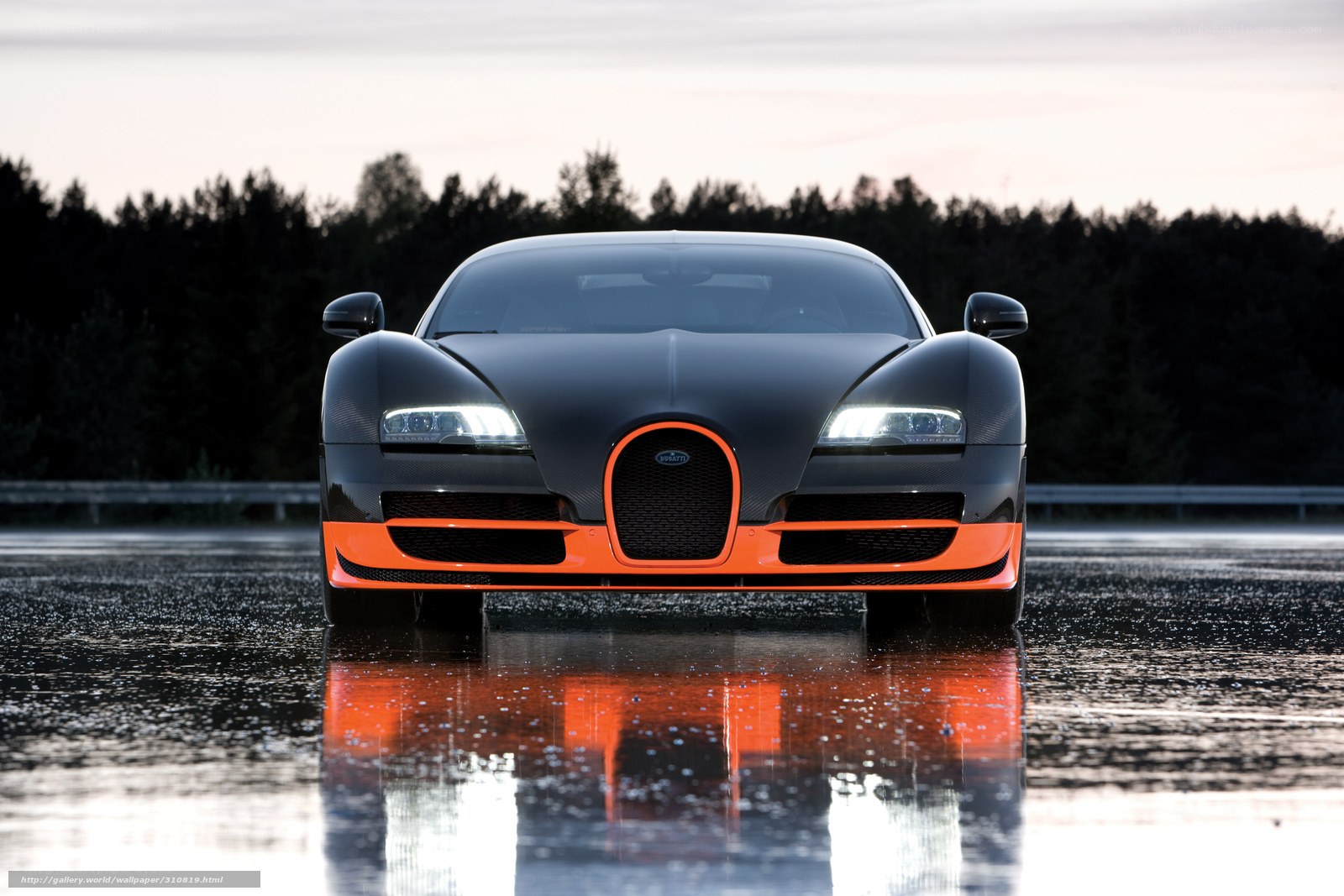 Bugatti Veyron on wet road