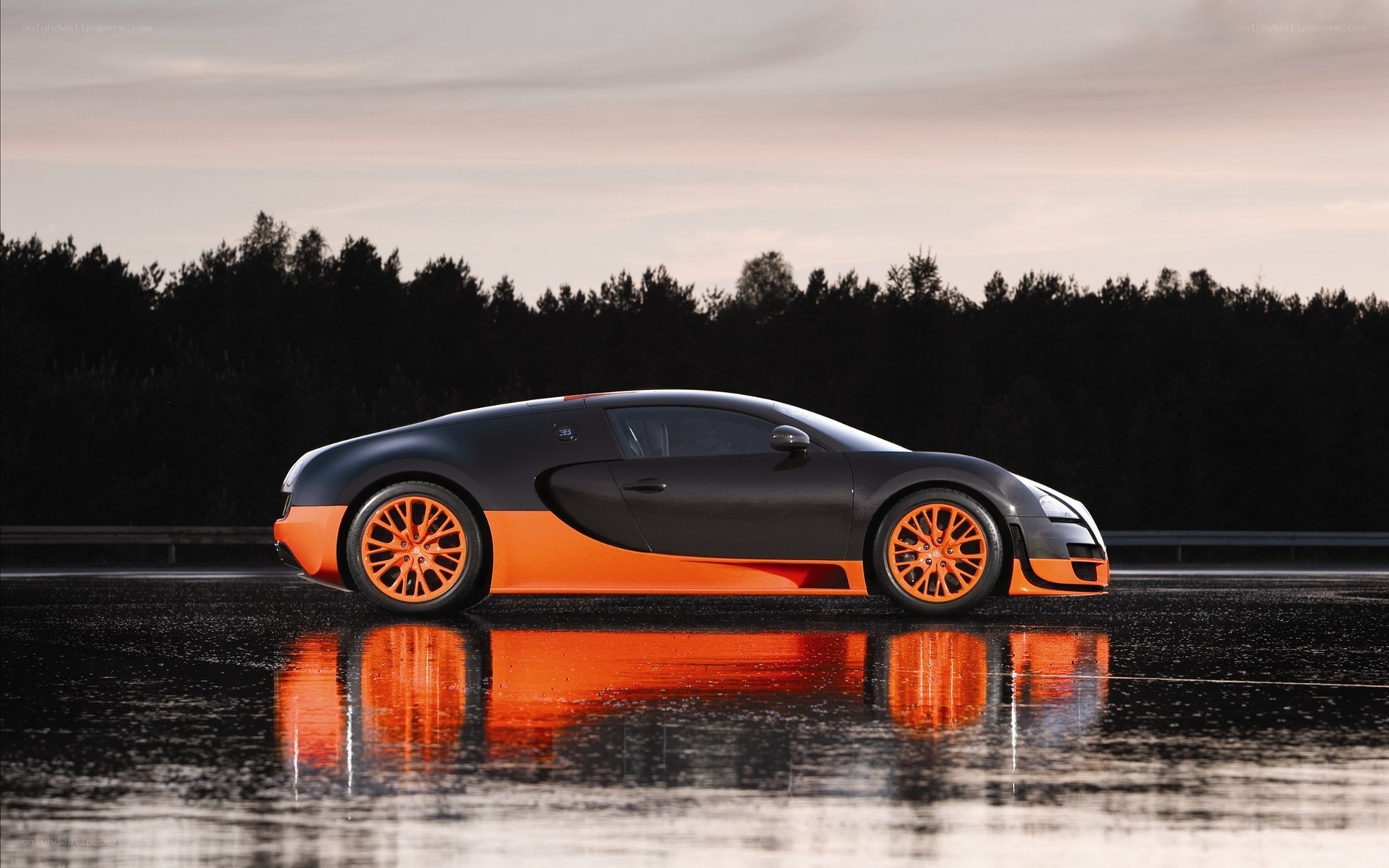Bugatti Veyron on wet road