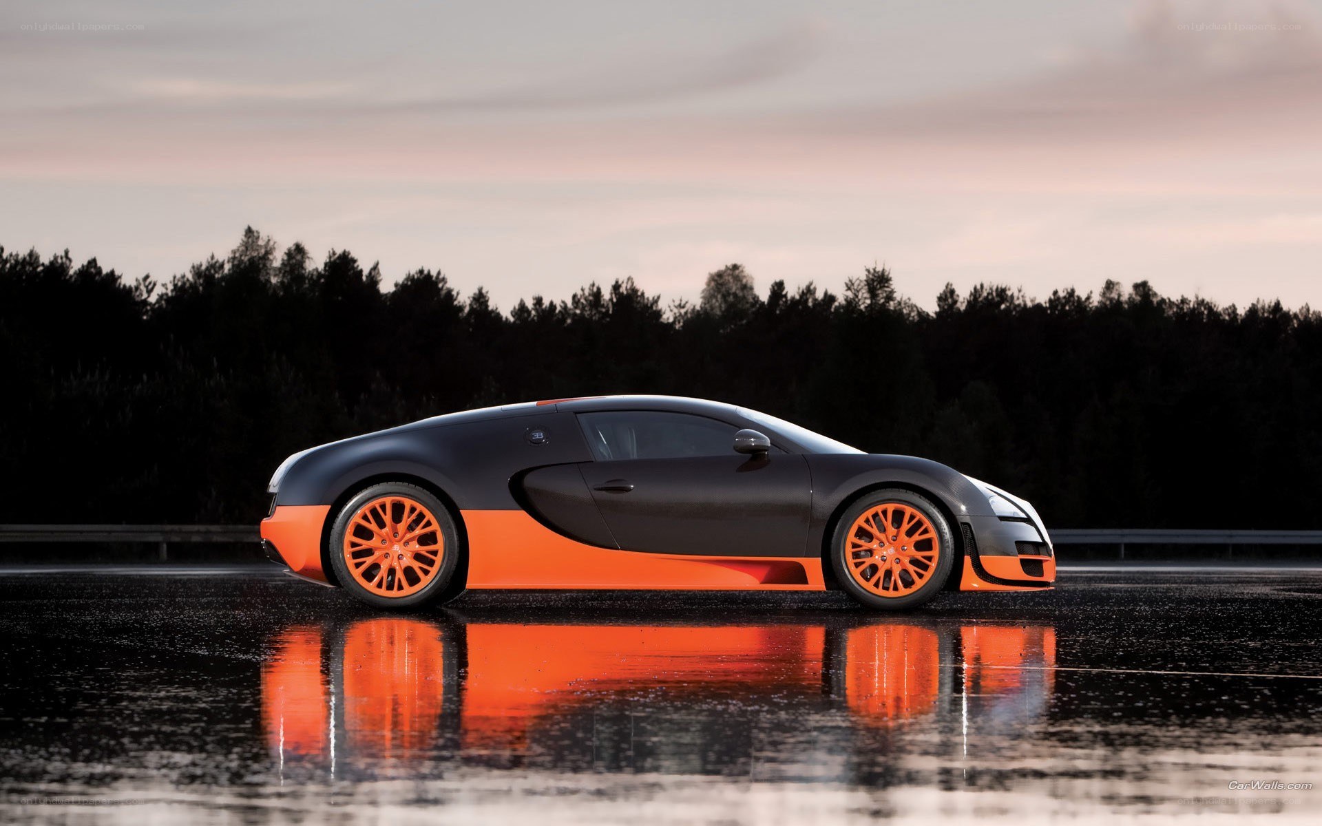 Bugatti Veyron on wet road