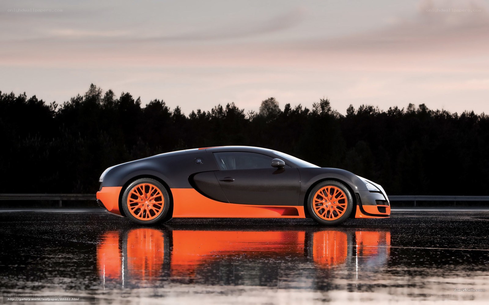 Bugatti Veyron on wet road