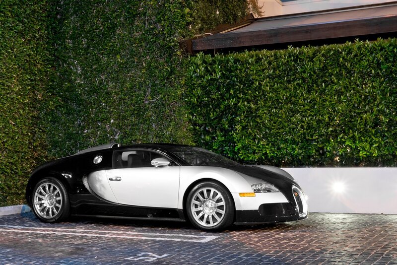 Bugatti Veyron parked by hedge