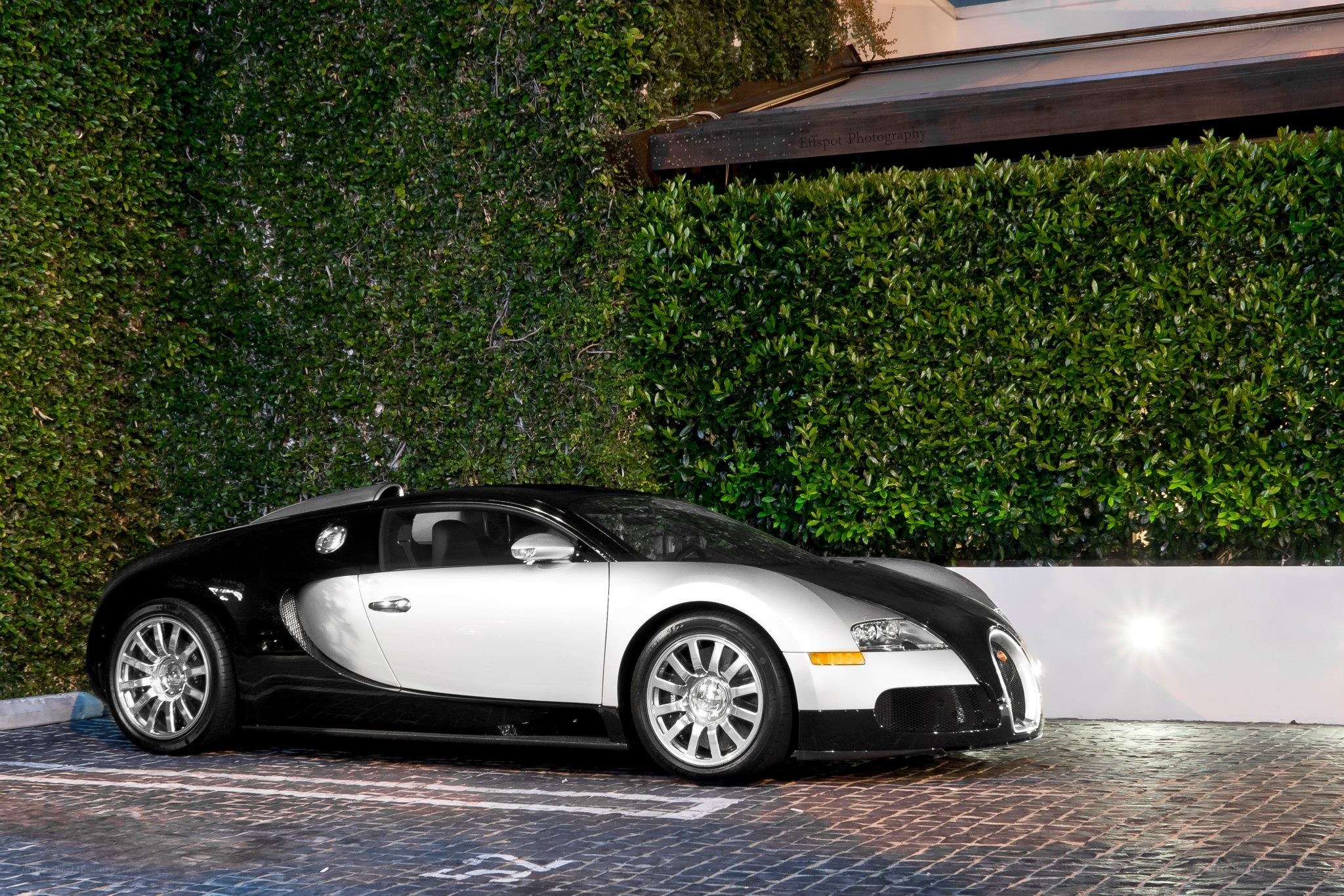 Bugatti Veyron parked by hedge