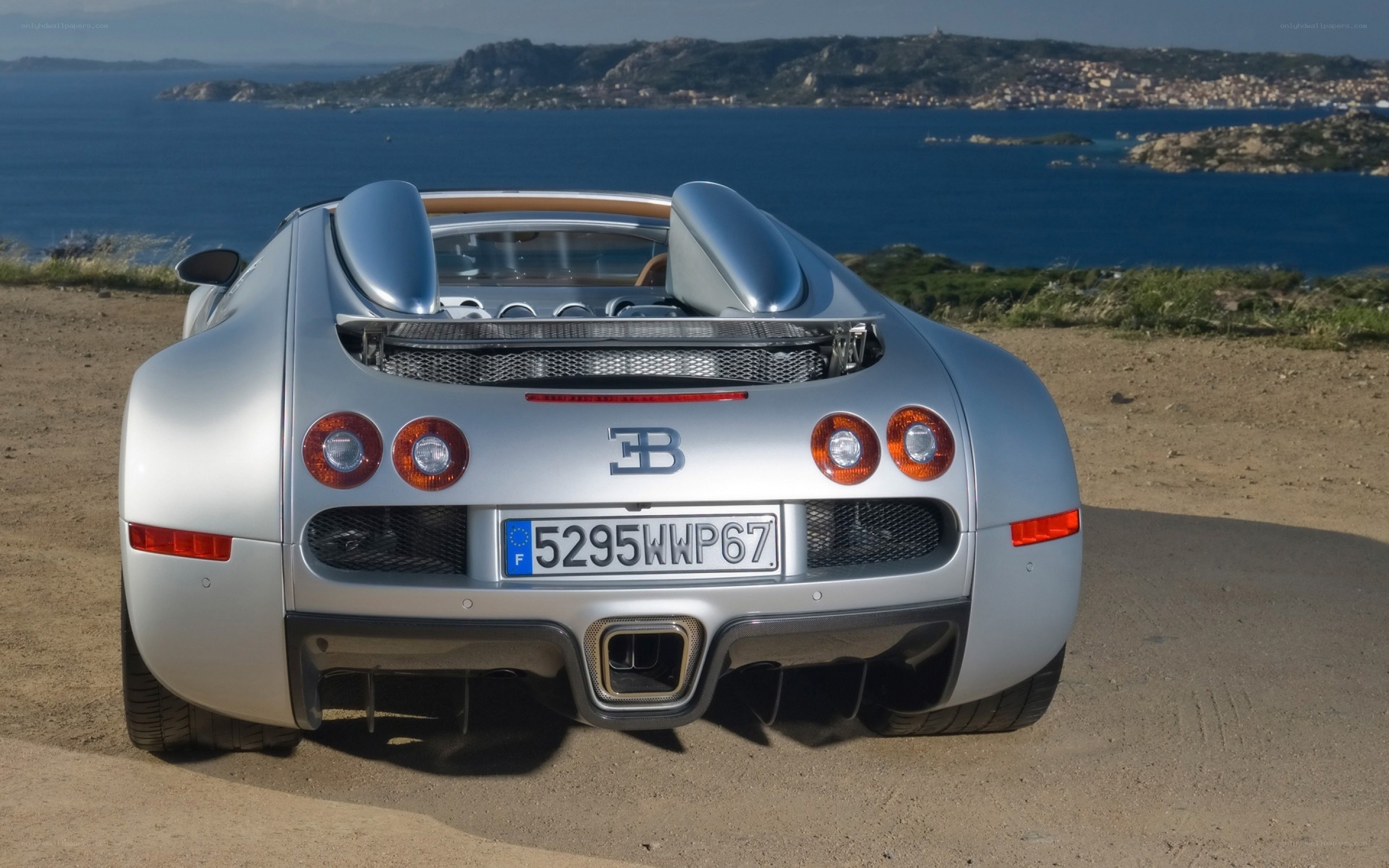 Bugatti Veyron rear view