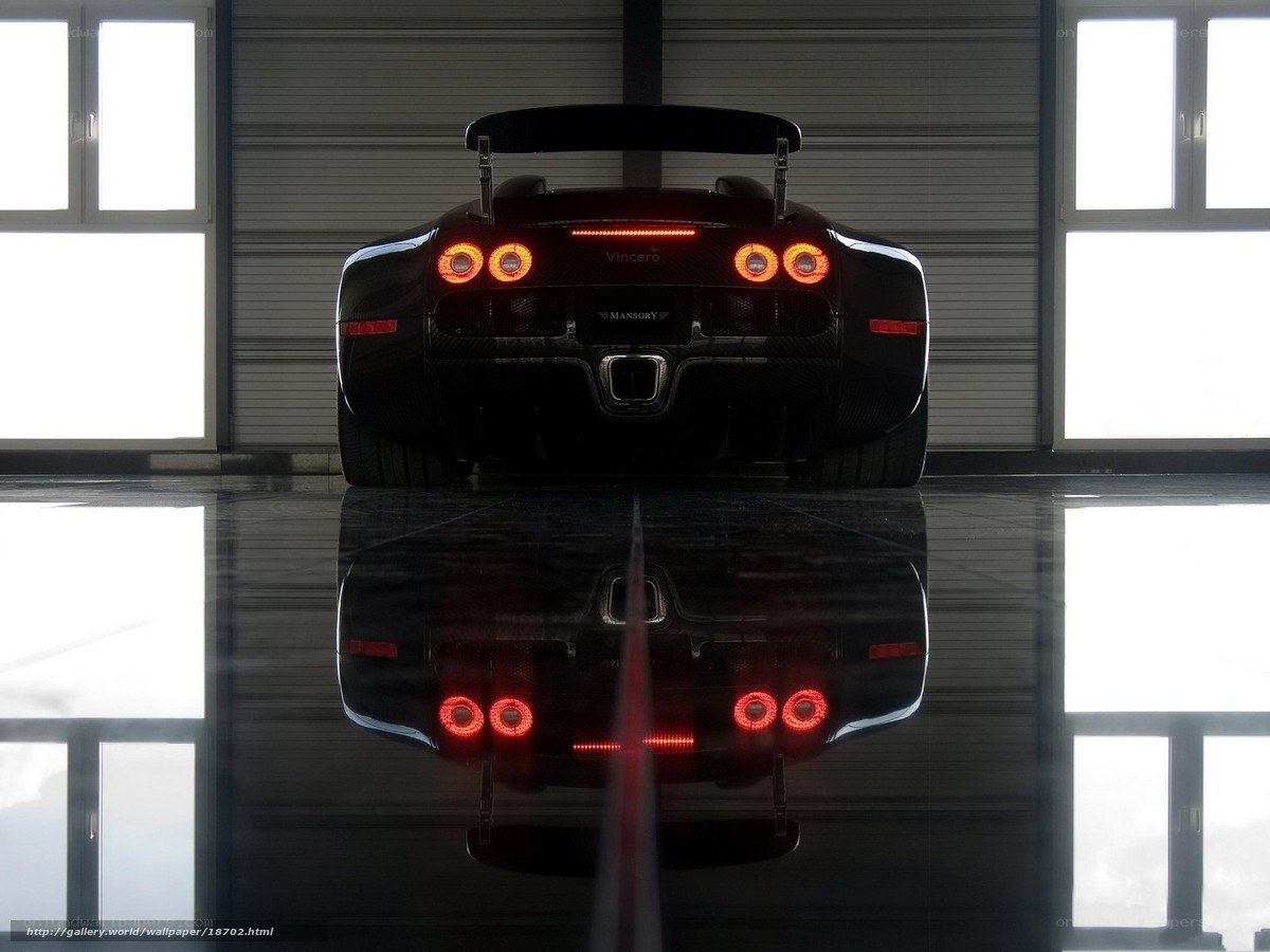 Bugatti Veyron rear view