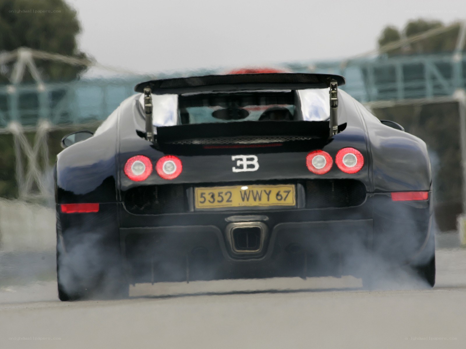 Bugatti Veyron rear view