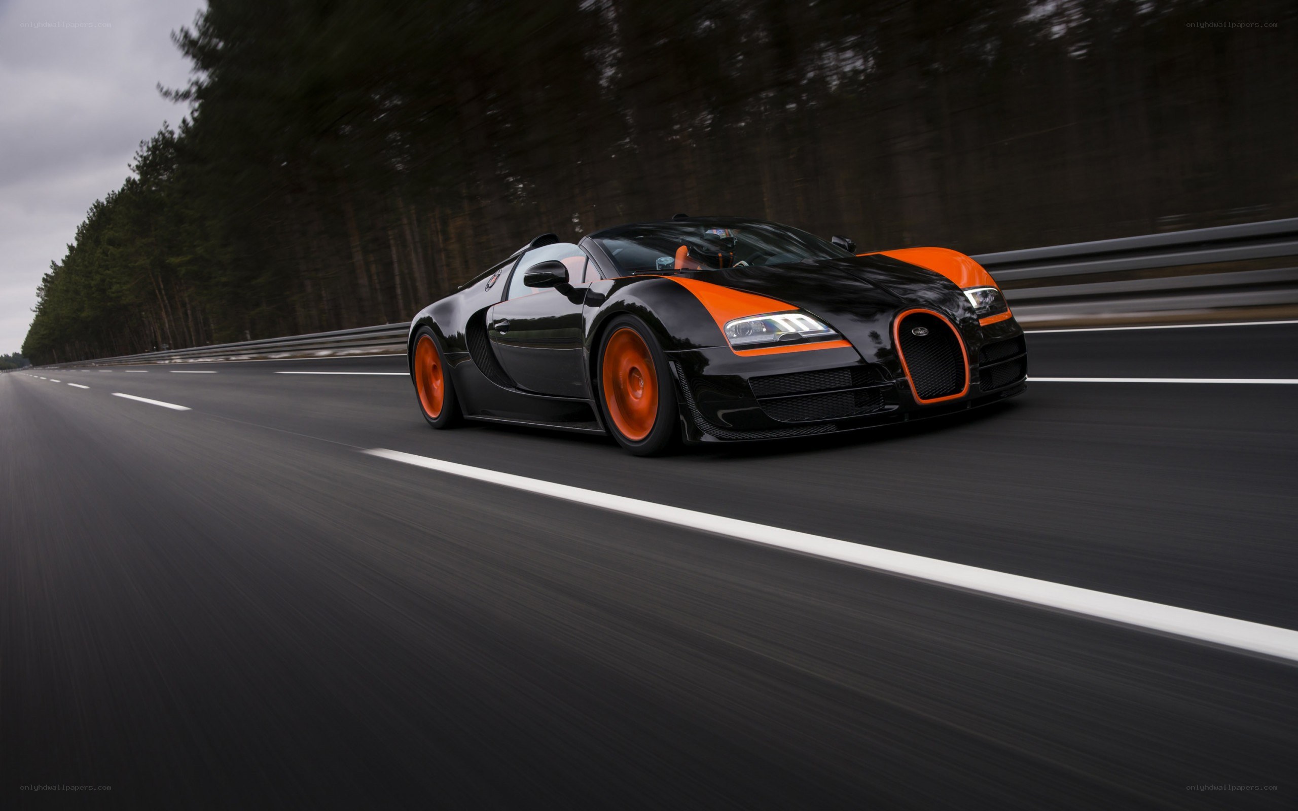 Bugatti Veyron speeding on track