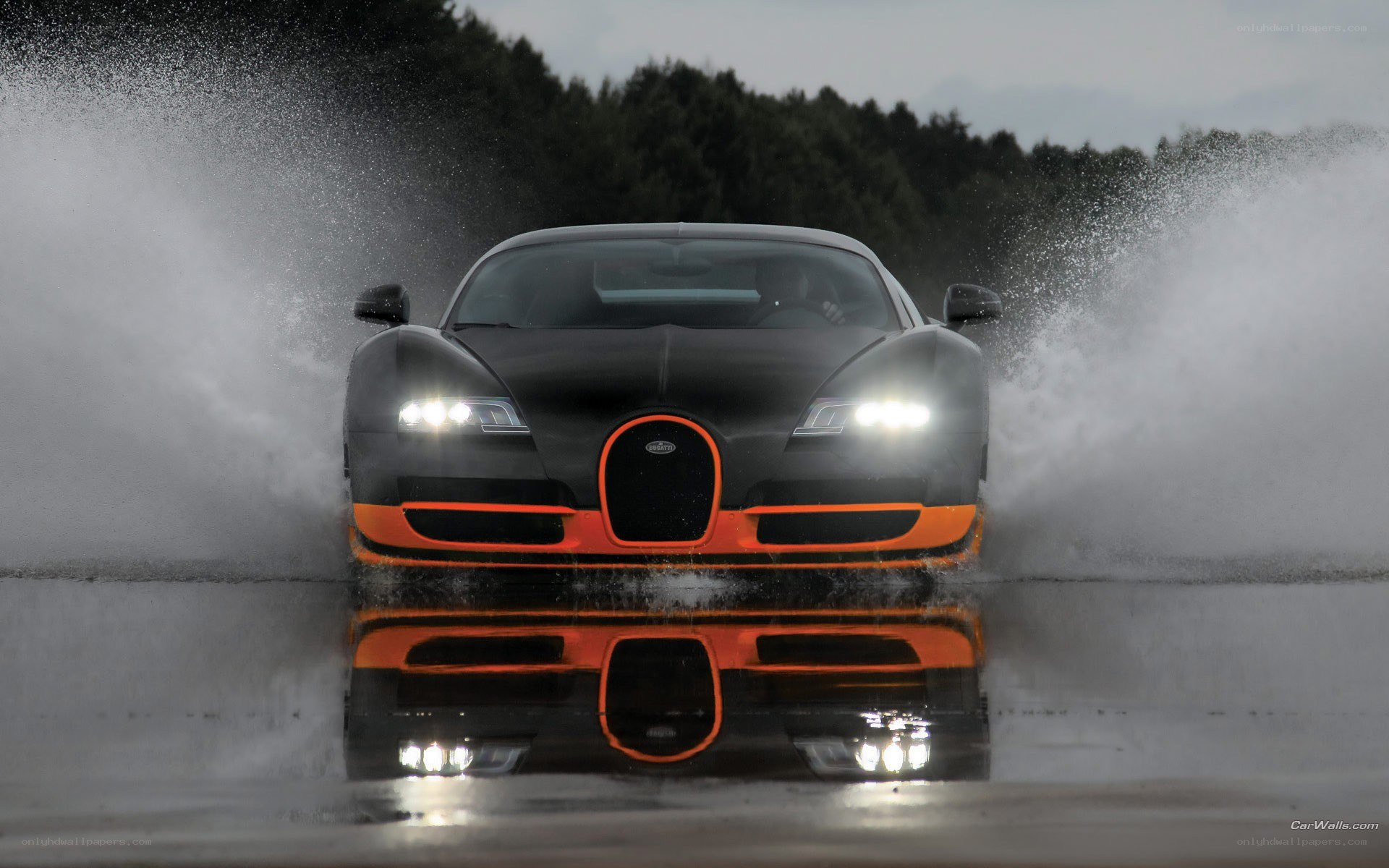 Bugatti Veyron splashing water