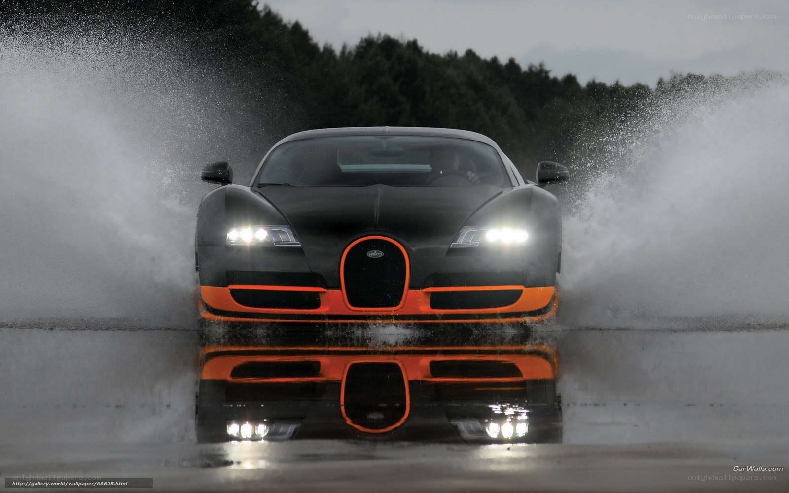 Bugatti Veyron splashing water