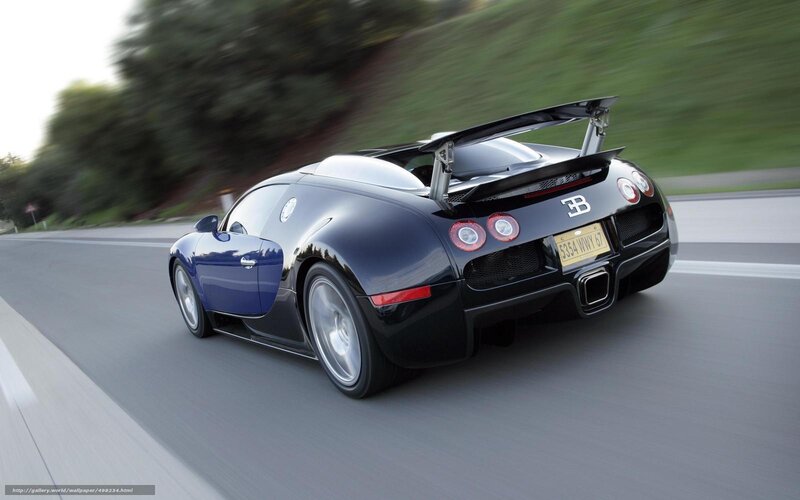 Bugatti Veyron Sports Car — Black, Dynamic, Afternoon, Photograph, Road, Trees