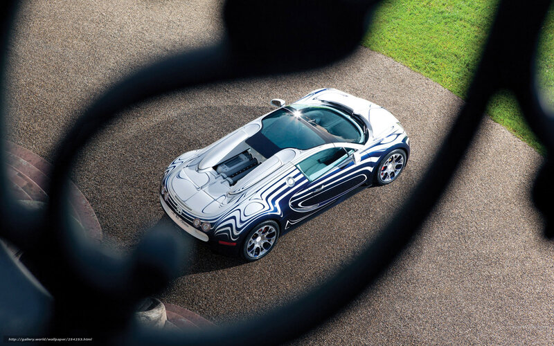 Bugatti Veyron through fence