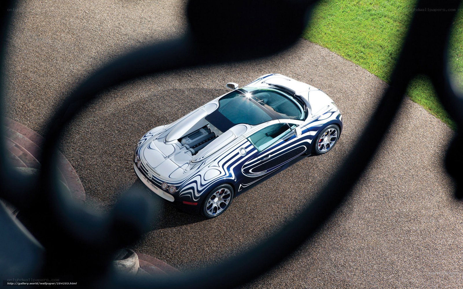 Bugatti Veyron through fence