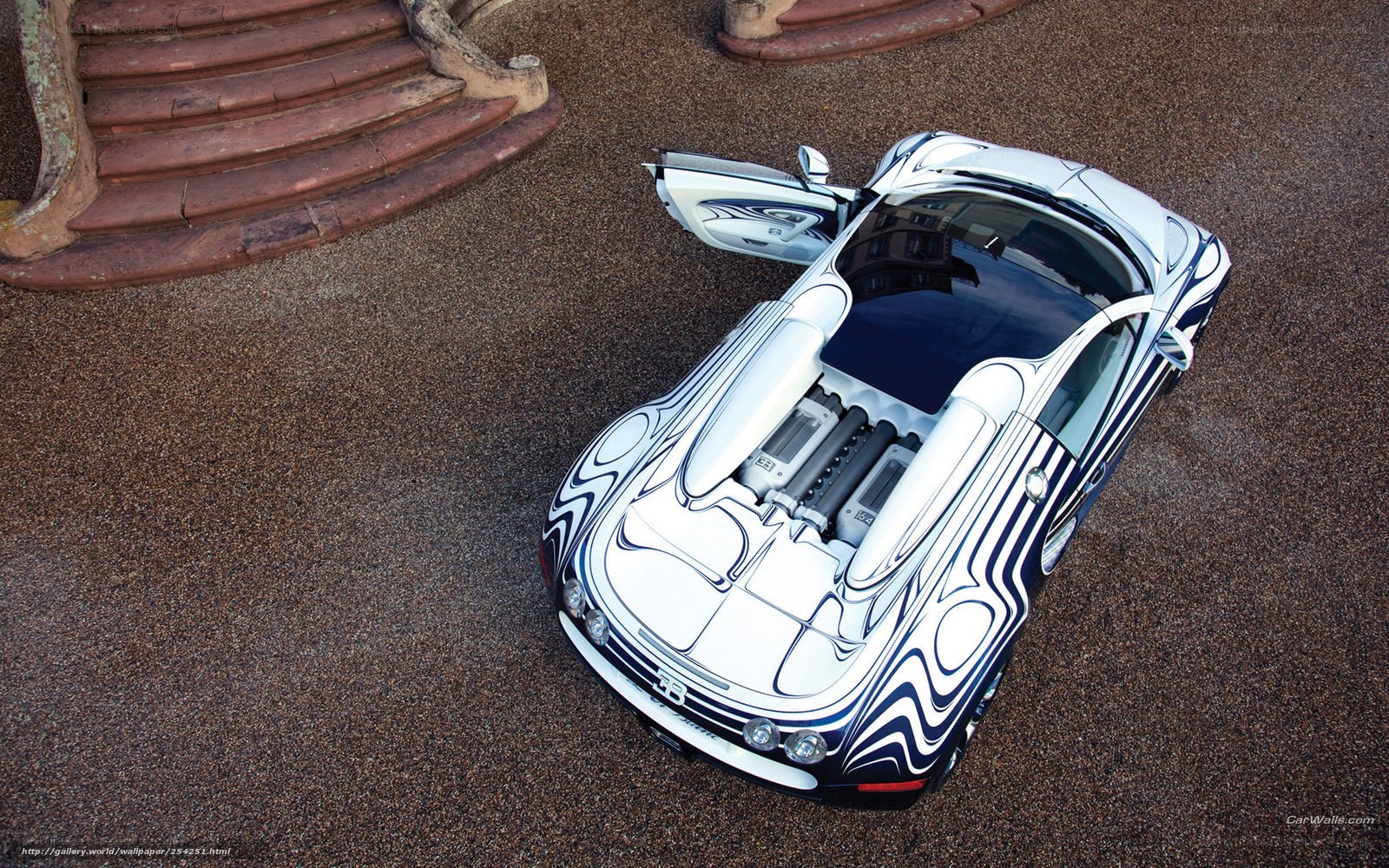 Bugatti Veyron with custom paint
