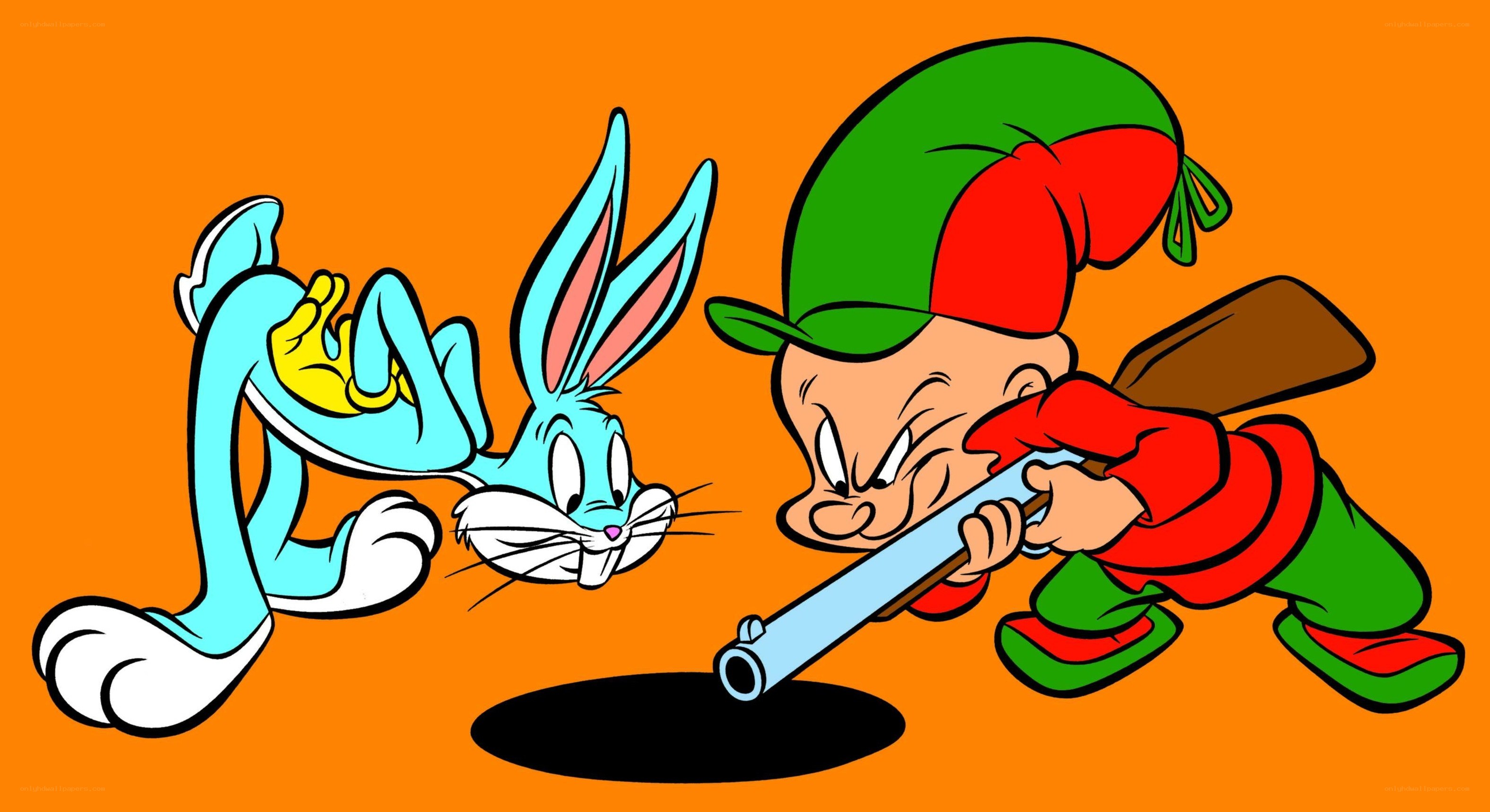 Bugs Bunny vs Elmer Fudd