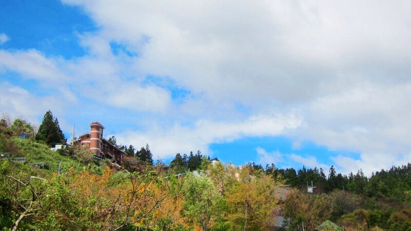 Building on a Hillside