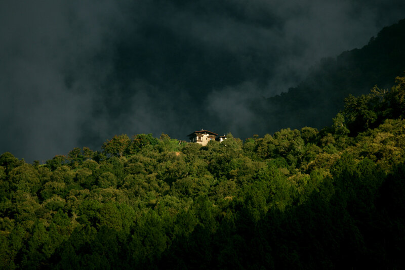 Building on Forested Hill