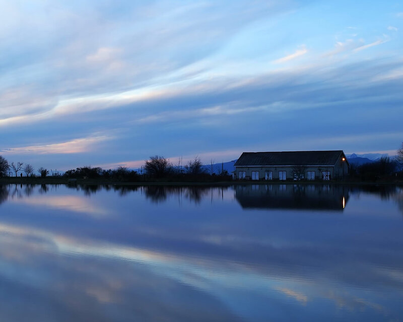 Building on Lake Shore