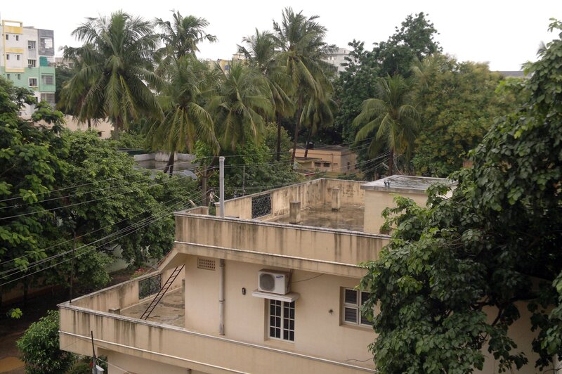 Building Rooftop View